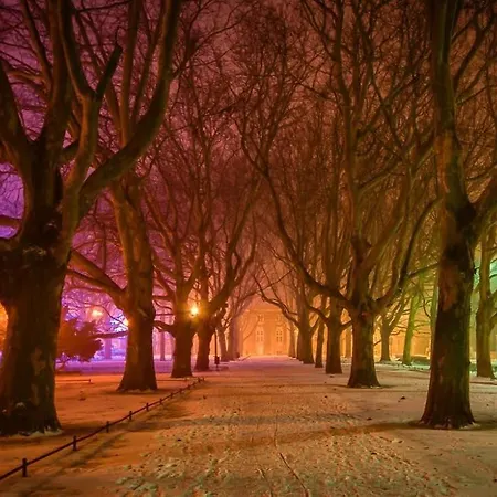 Lejlighed Przytulny *