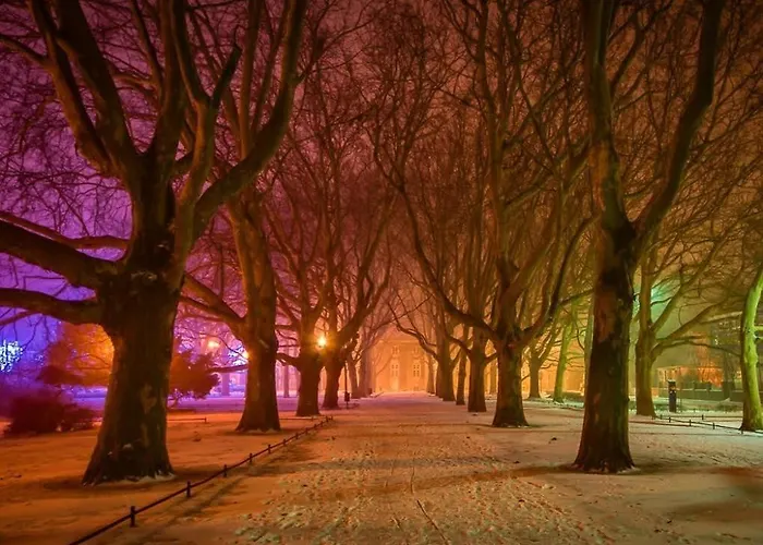 Lejlighed Przytulny *