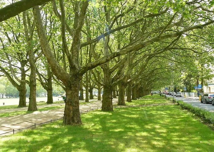 Przytulny Щецин